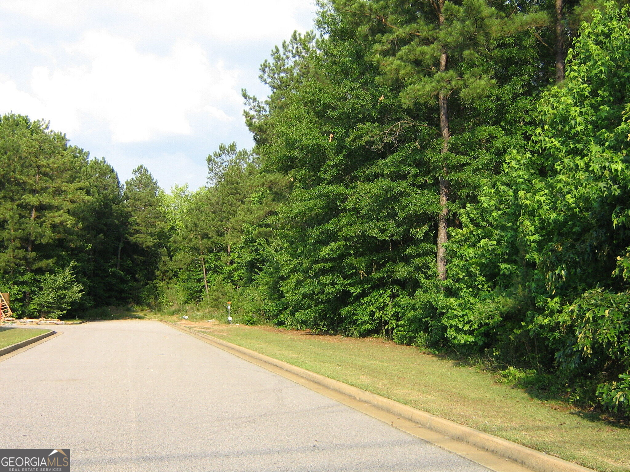 28.77 Acres Davis Road Property Photo 4