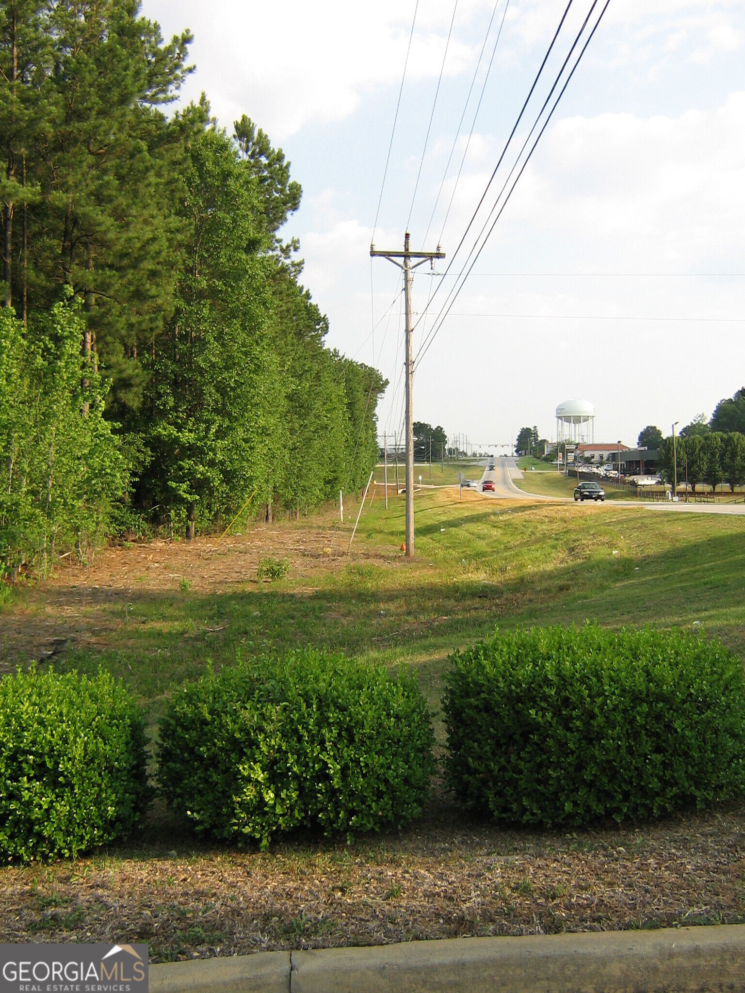 28.77 Acres Davis Road Property Photo 5