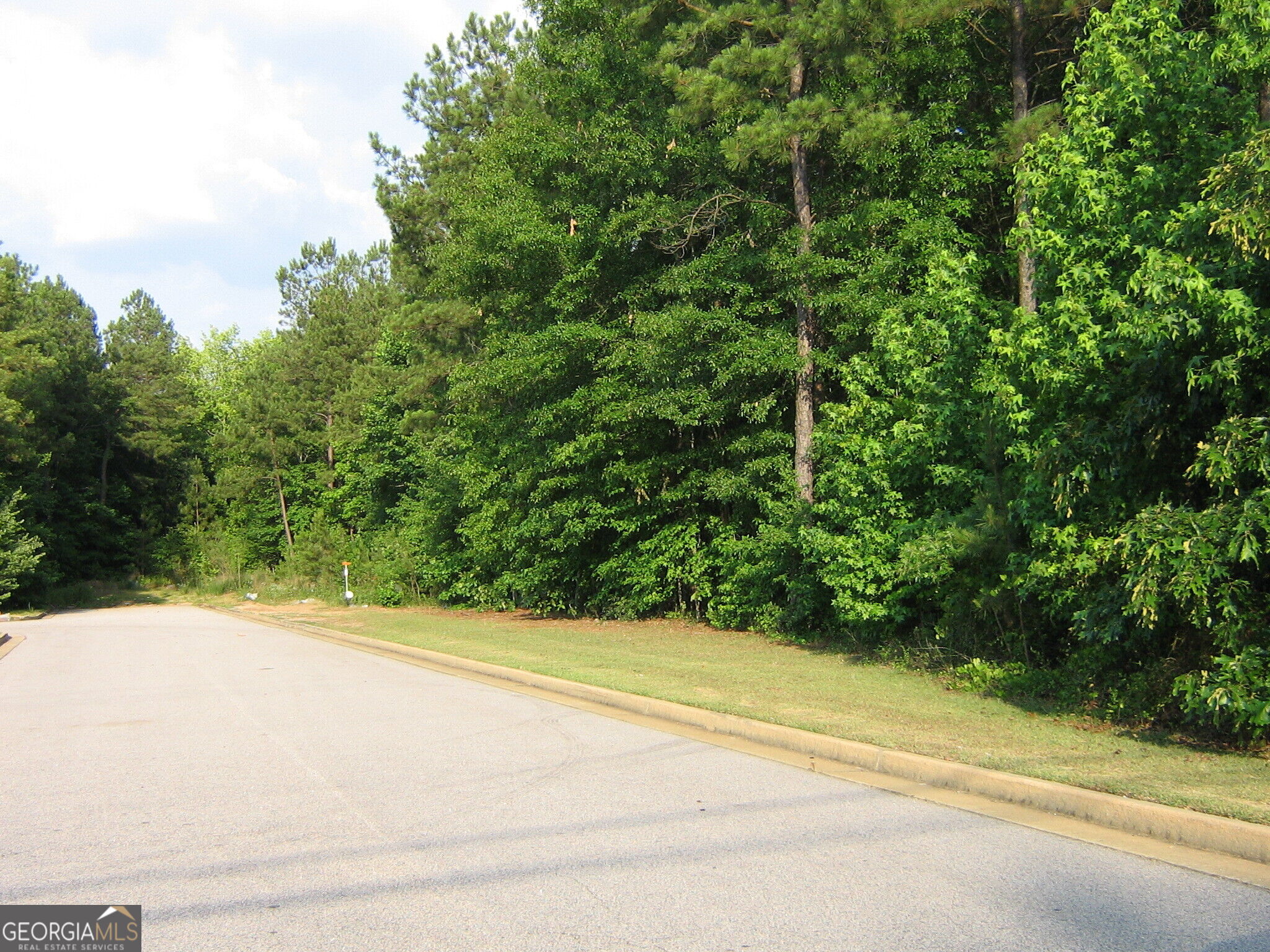 28.77 Acres Davis Road Property Photo 6