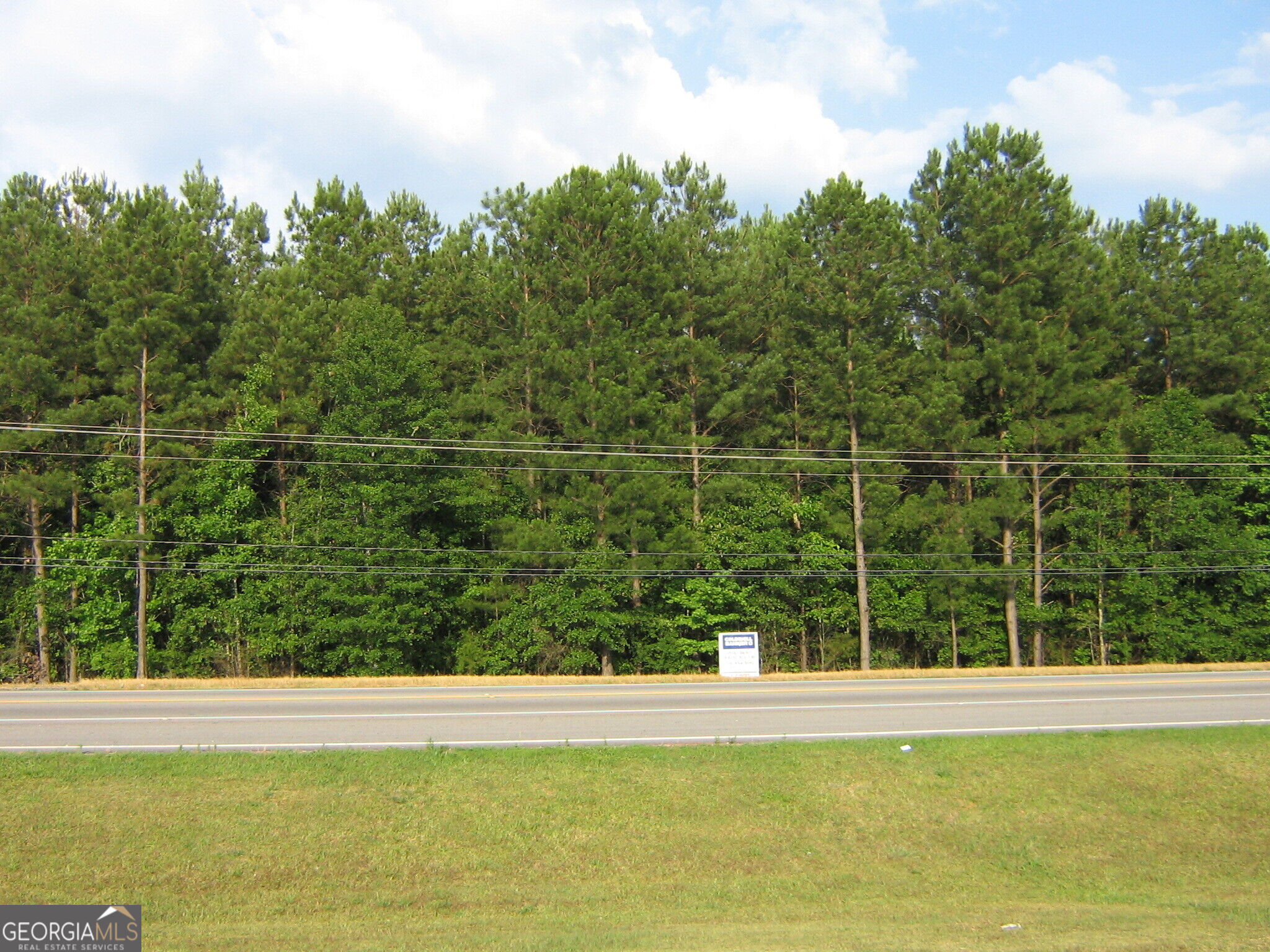28.77 Acres Davis Road Property Photo 7