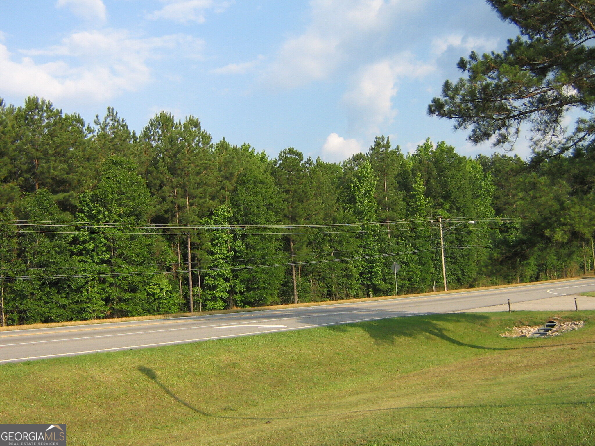 28.77 Acres Davis Road Property Photo 10