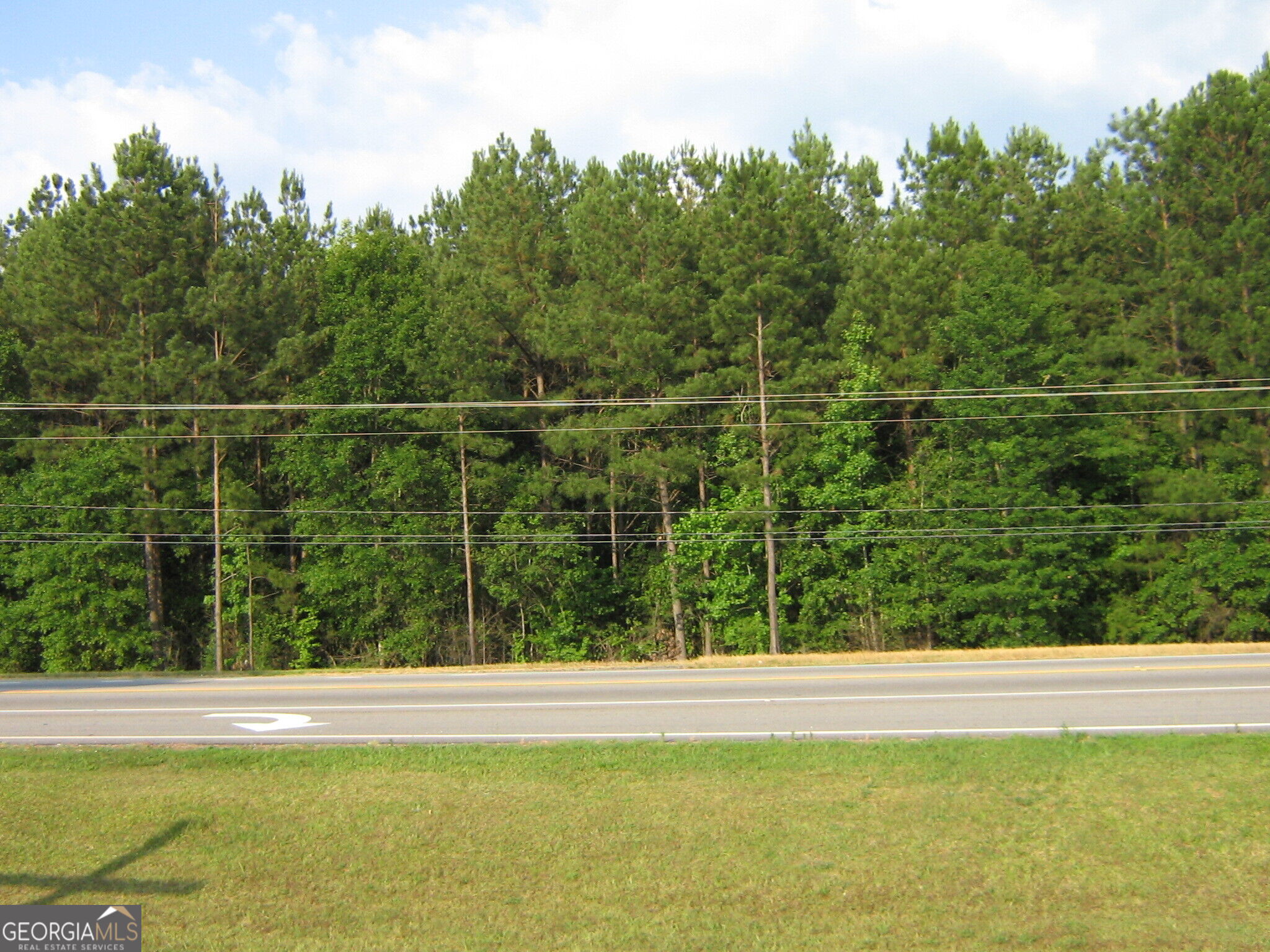 28.77 Acres Davis Road Property Photo 12