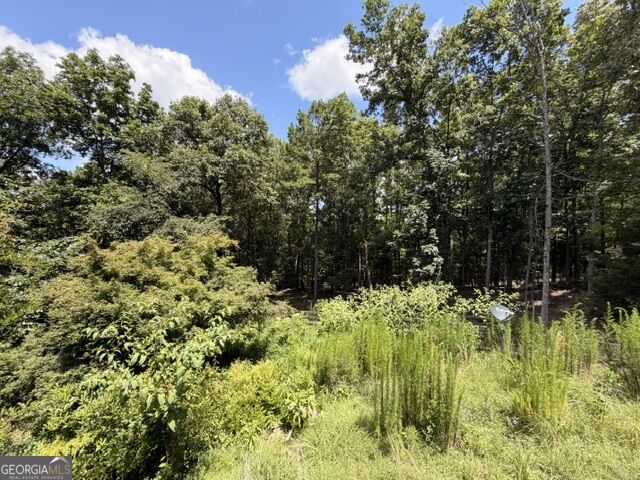 1657 Chubb Road Sw Property Photo 15