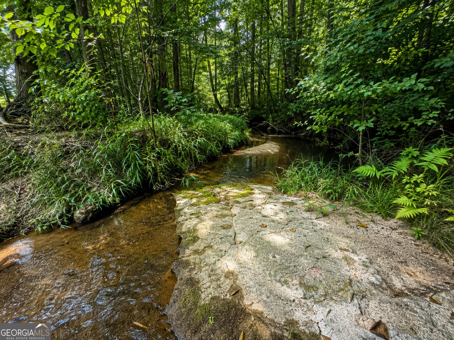 47 Acres Cochran Road Property Photo 1