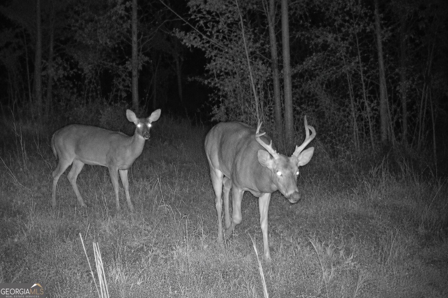 47 Acres Cochran Road Property Photo 3