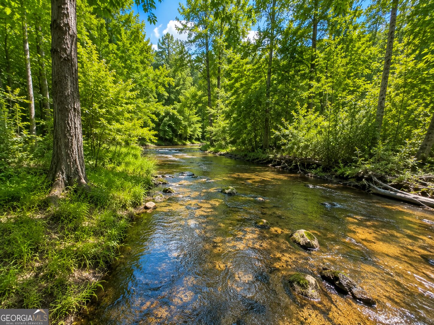 47 Acres Cochran Road Property Photo 4