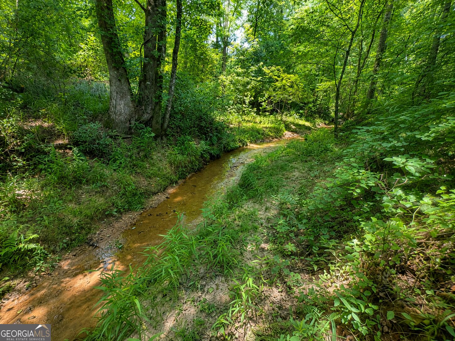 47 Acres Cochran Road Property Photo 5