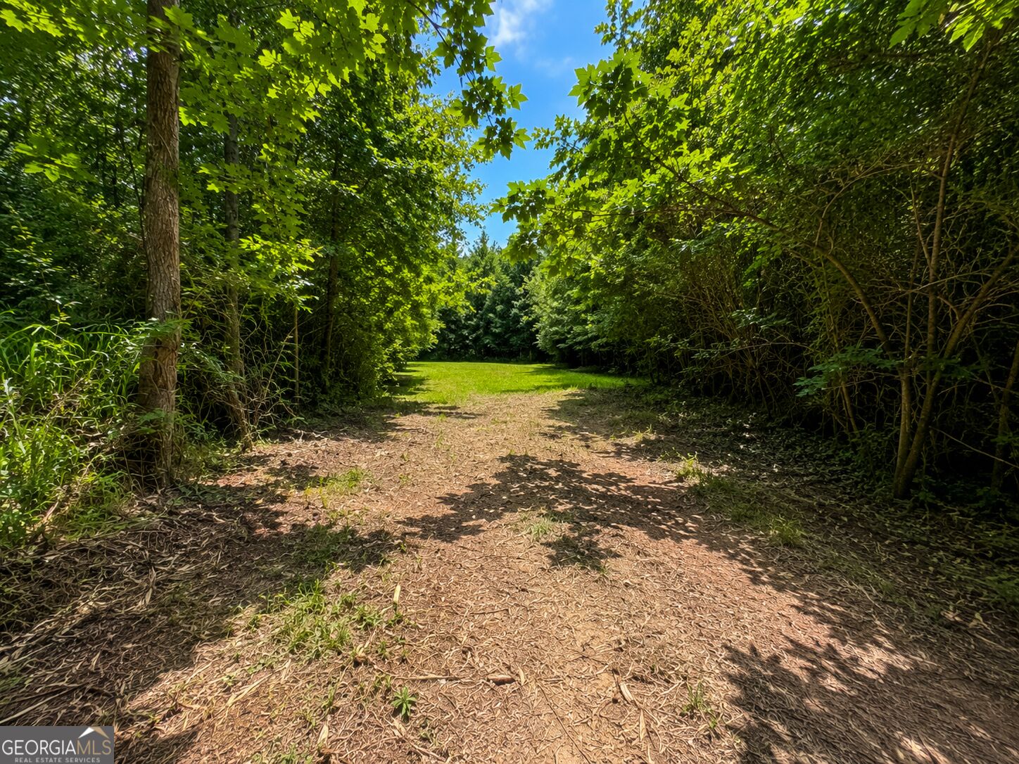47 Acres Cochran Road Property Photo 7