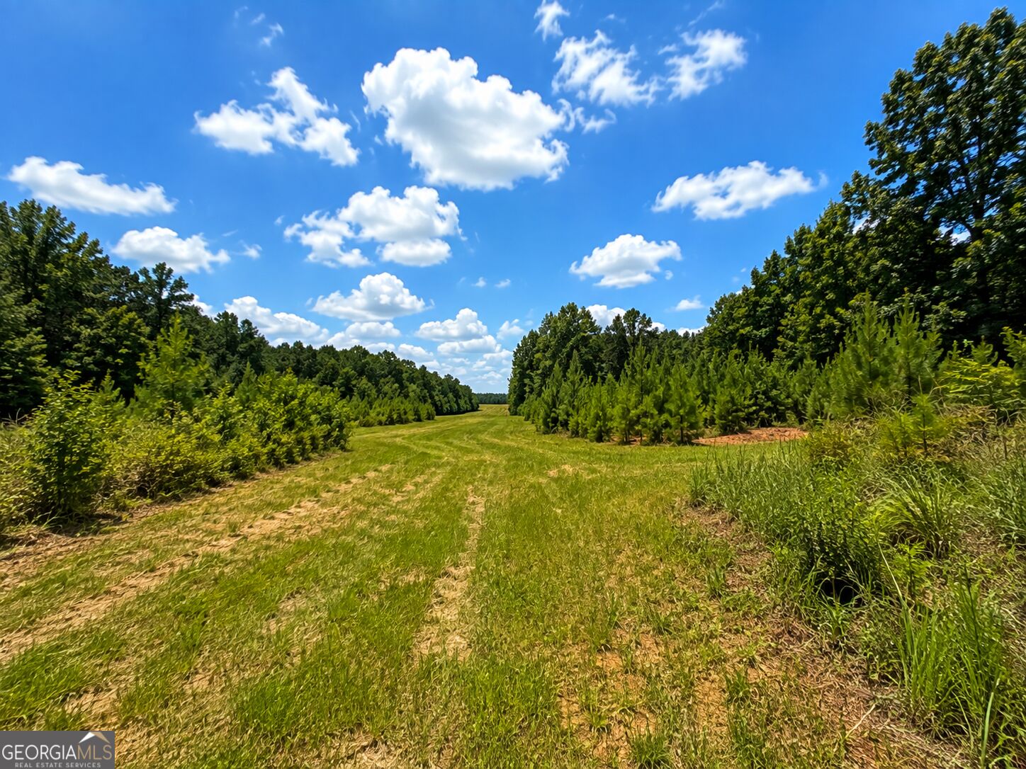 47 Acres Cochran Road Property Photo 9
