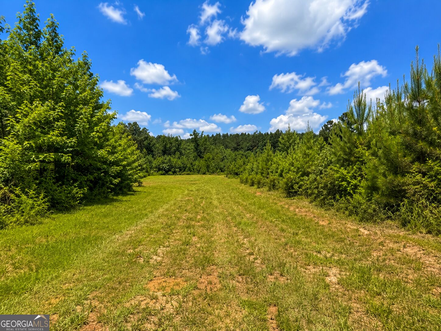 47 Acres Cochran Road Property Photo 10
