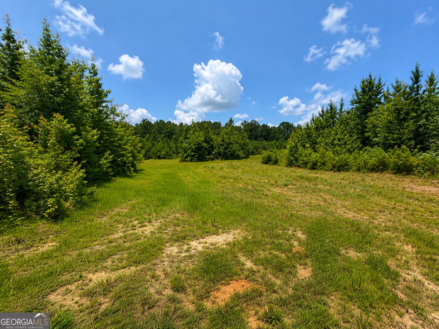 47 Acres Cochran Road Property Photo 11