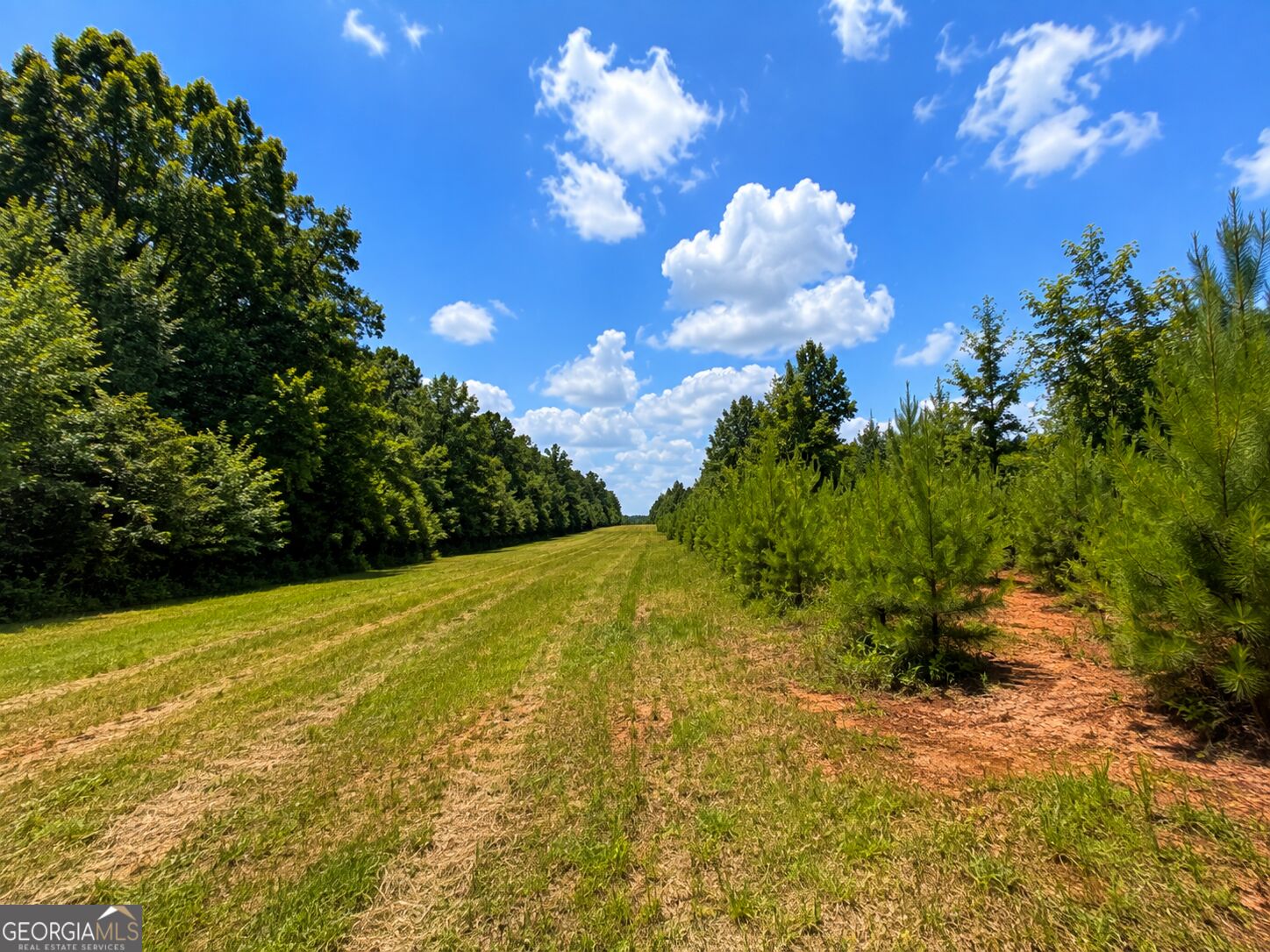47 Acres Cochran Road Property Photo 12