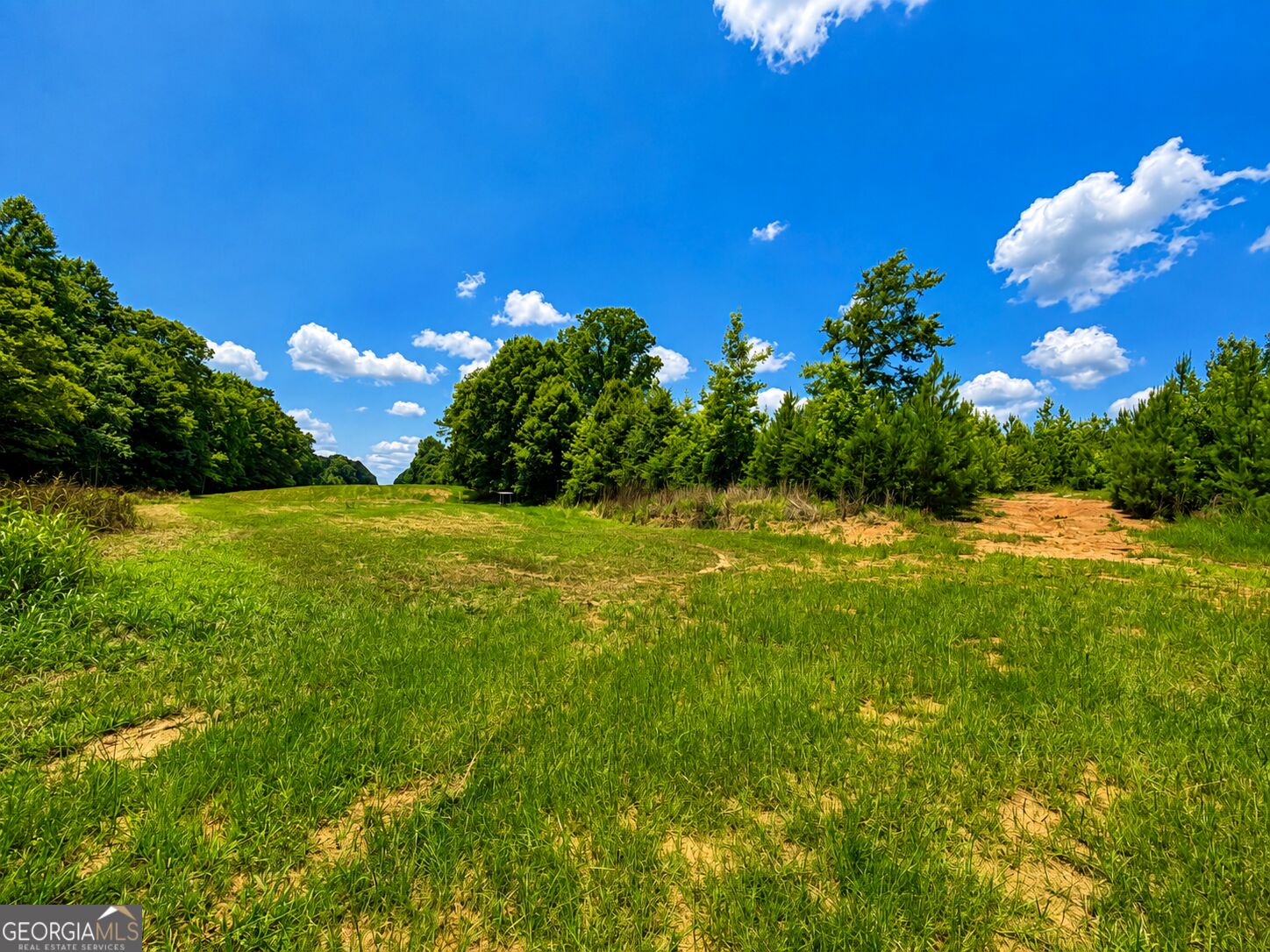 47 Acres Cochran Road Property Photo 13