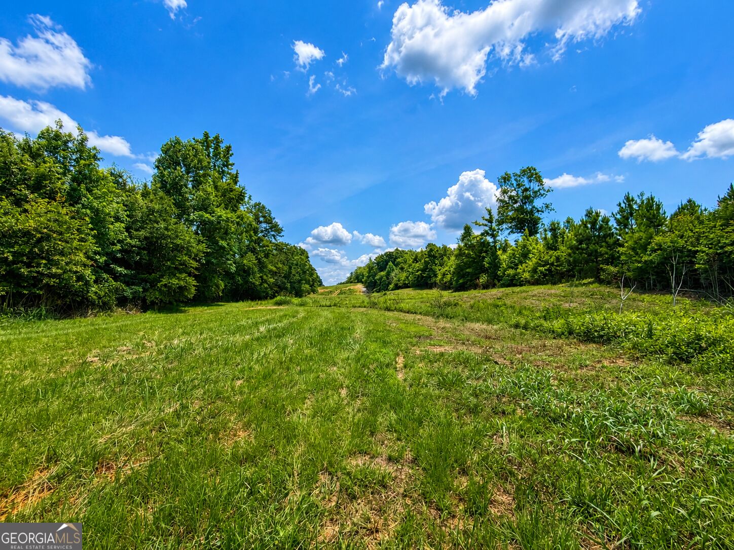 47 Acres Cochran Road Property Photo 14