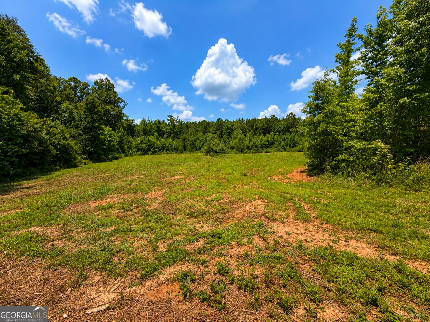 47 Acres Cochran Road Property Photo 15