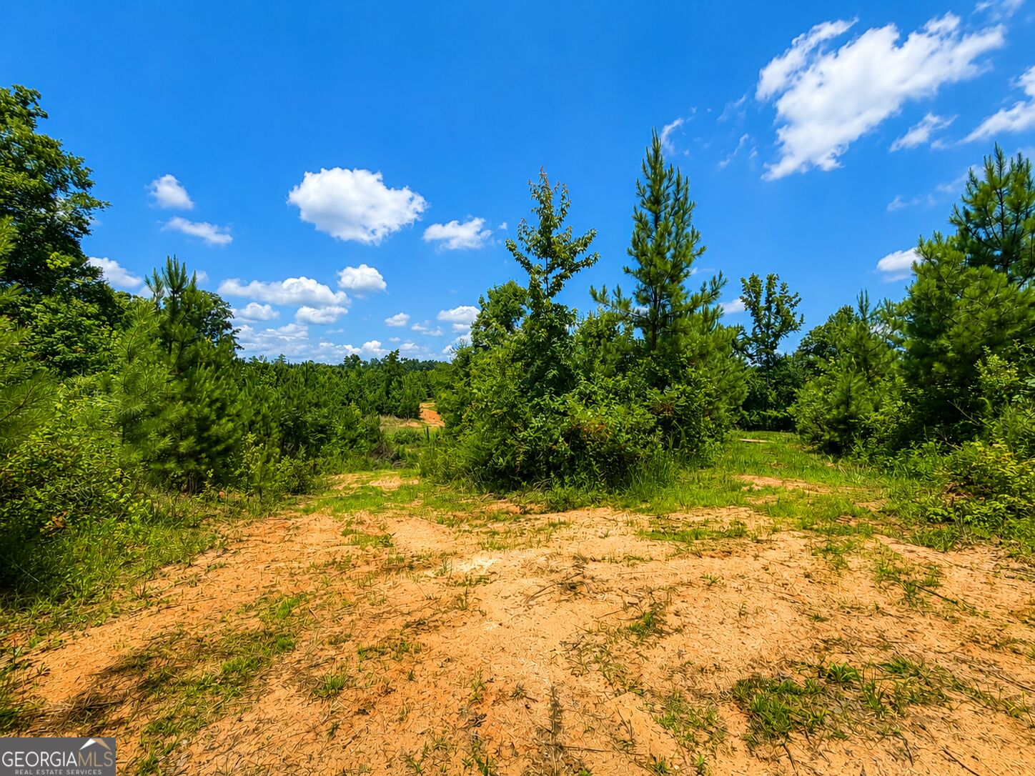 47 Acres Cochran Road Property Photo 16