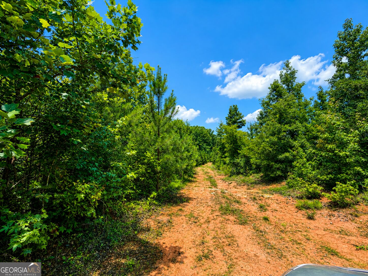 47 Acres Cochran Road Property Photo 17