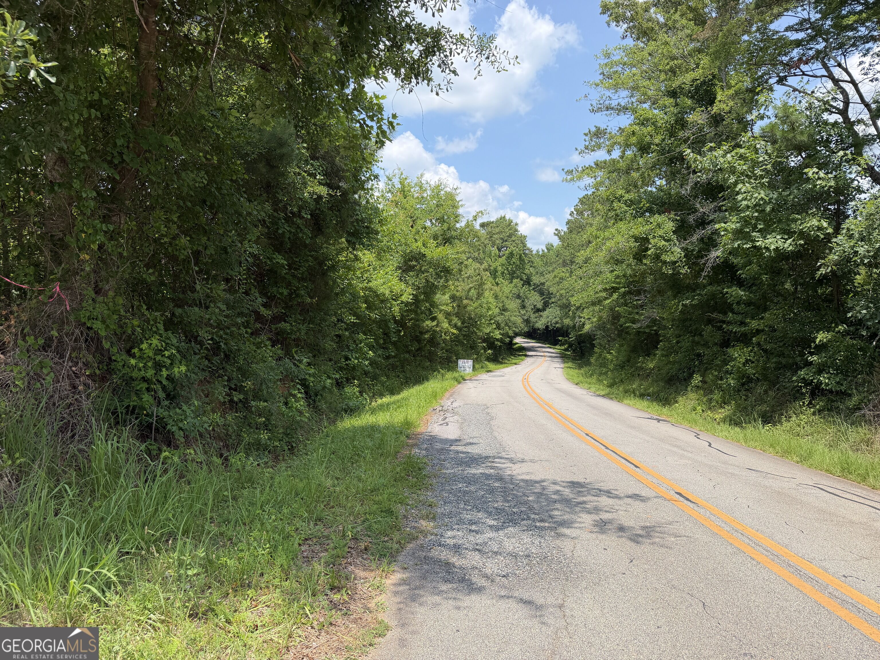 47 Acres Cochran Road Property Photo 18