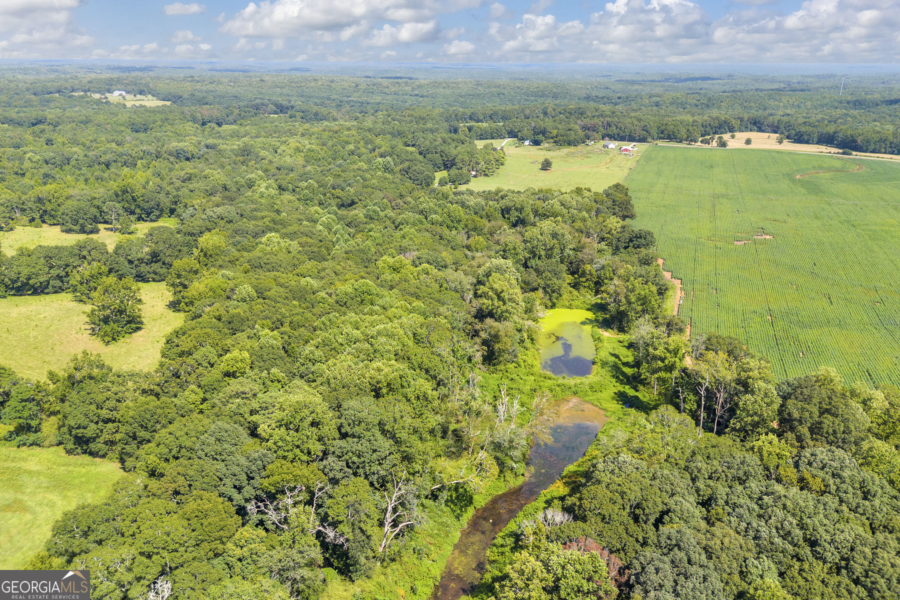 1501 Kirkland Road Property Photo 46