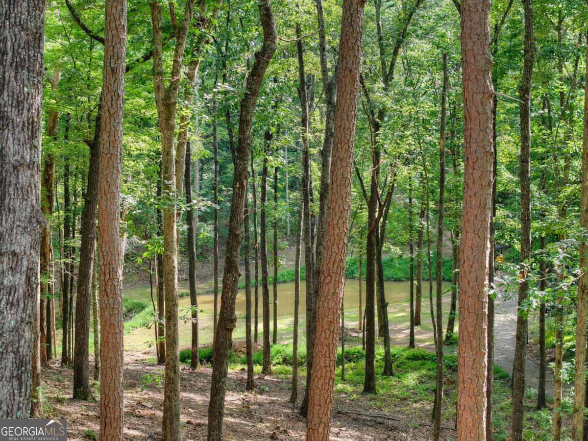412 Mountain Tops Circle Property Photo 62