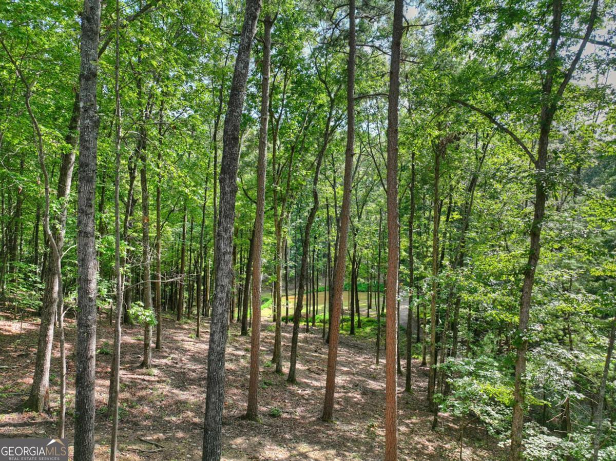 412 Mountain Tops Circle Property Photo 63