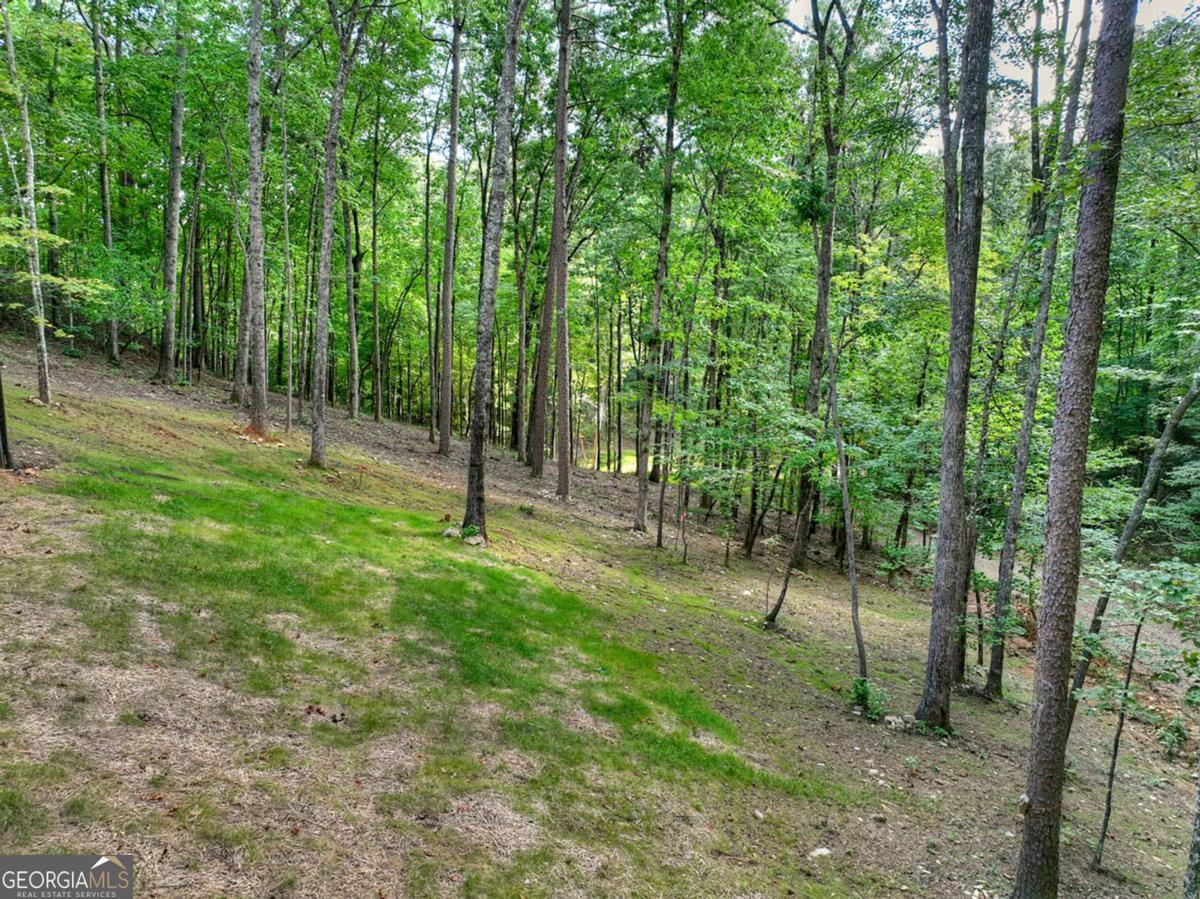 412 Mountain Tops Circle Property Photo 64