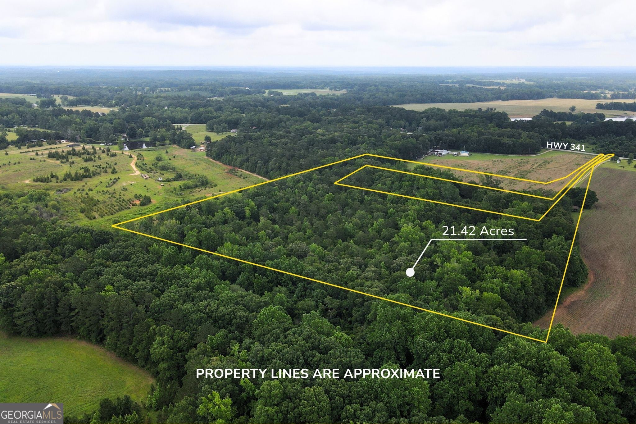 143 Highway 341 S Property Photo 1