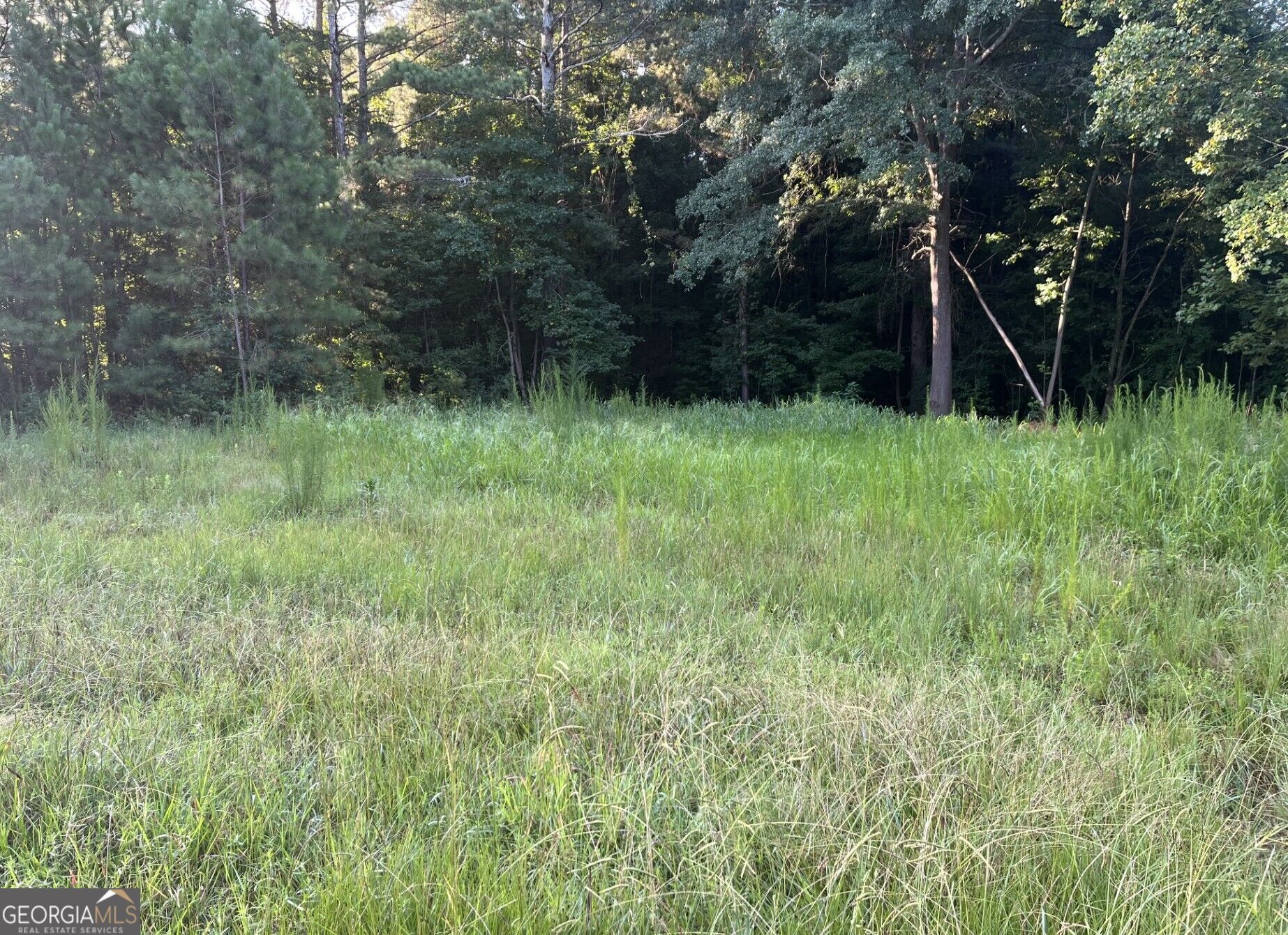 0 Tony Drive Property Photo 1