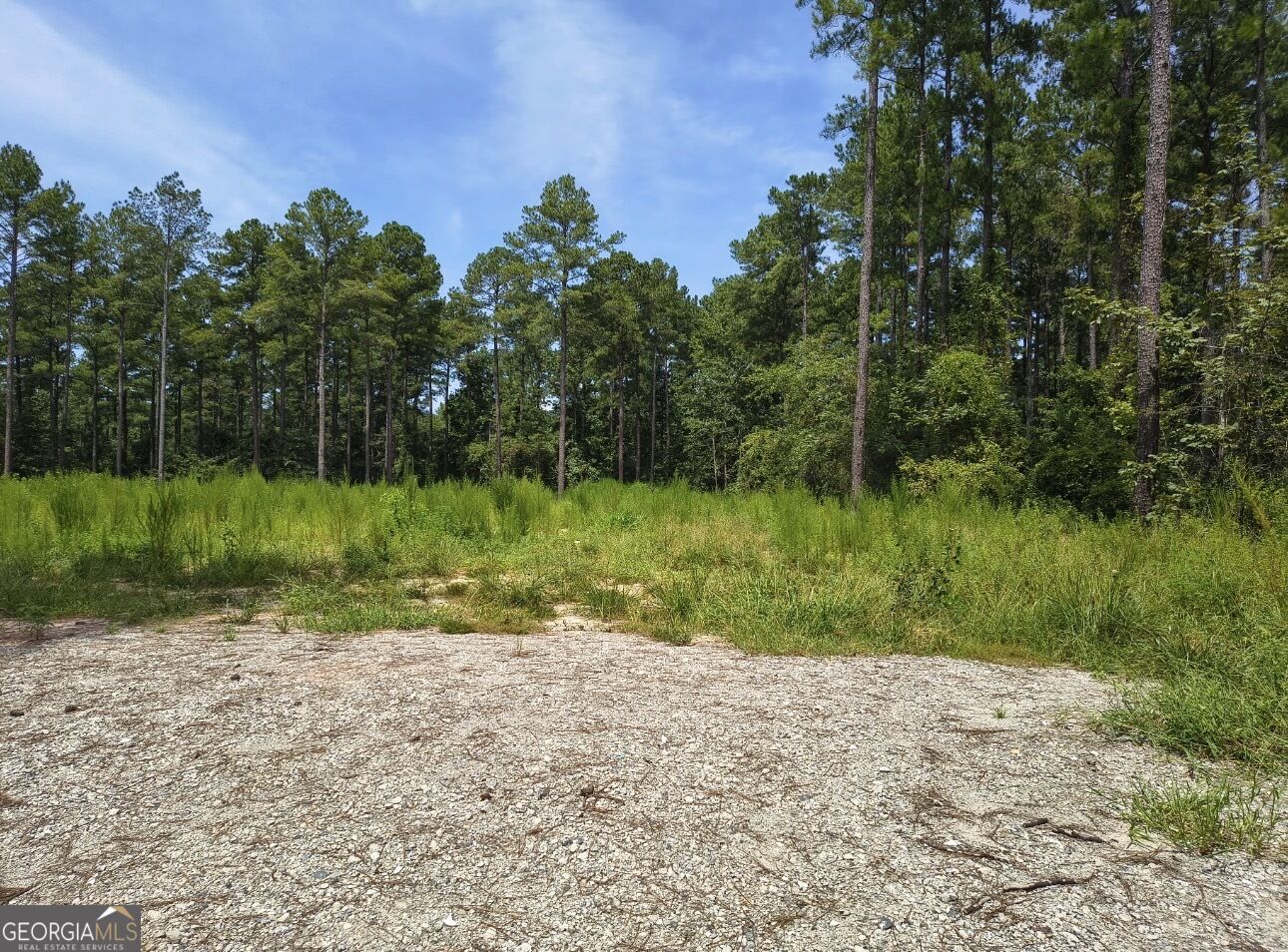 0 Mosley Bridge Road Property Photo 1