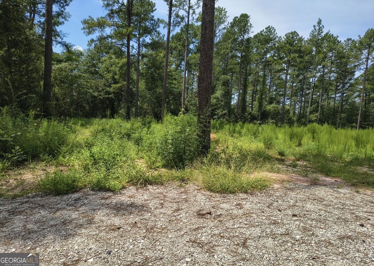 0 Mosley Bridge Road Property Photo 6