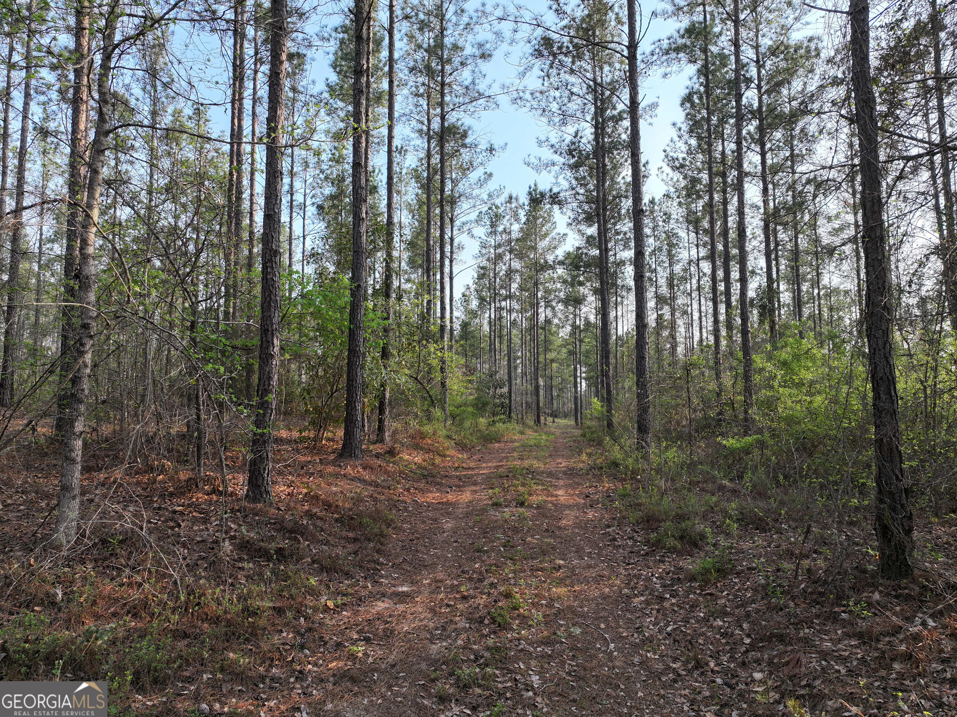 195 County Line Road Property Photo 1