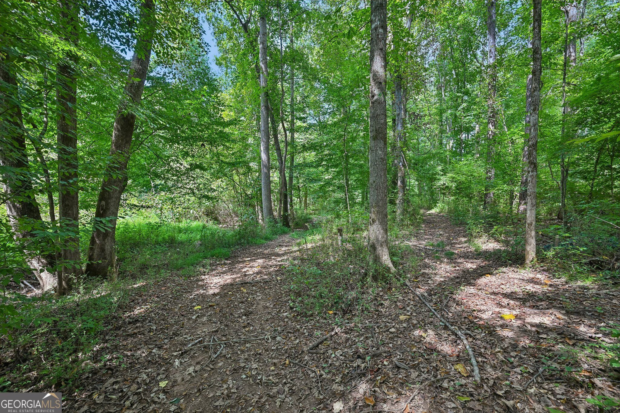 135 Creekview Drive Property Photo 65