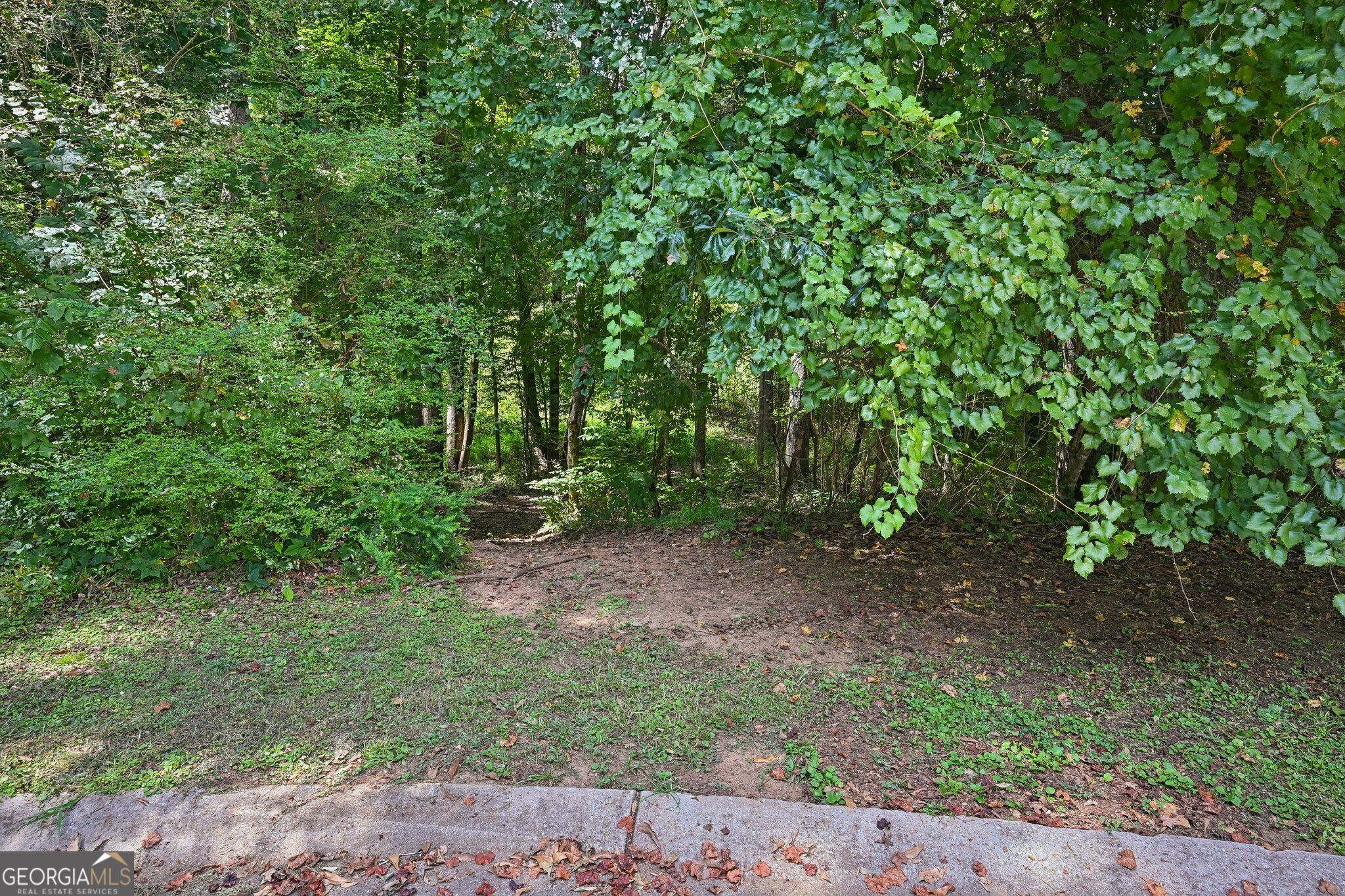 135 Creekview Drive Property Photo 66