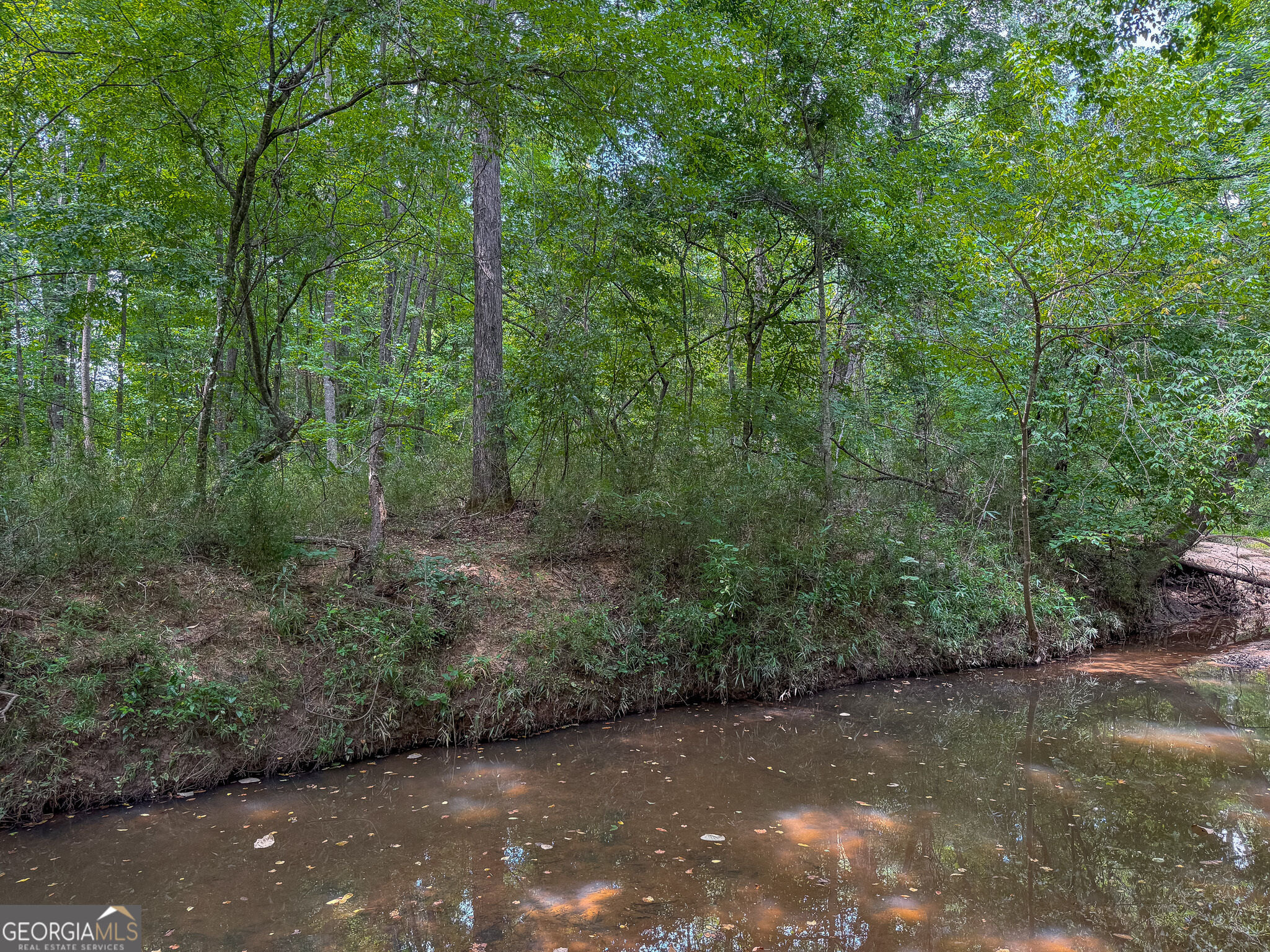 0 River Oak Drive Property Photo 6