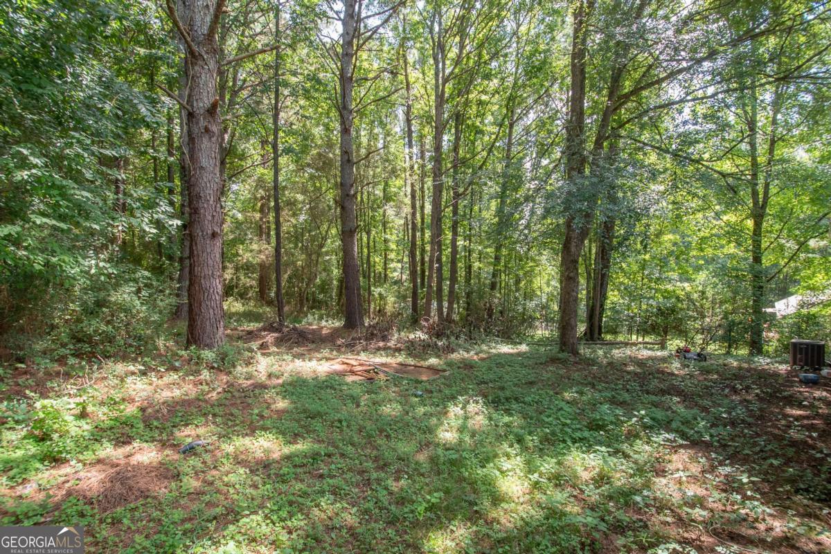 1104 Alverson Road Property Photo 24