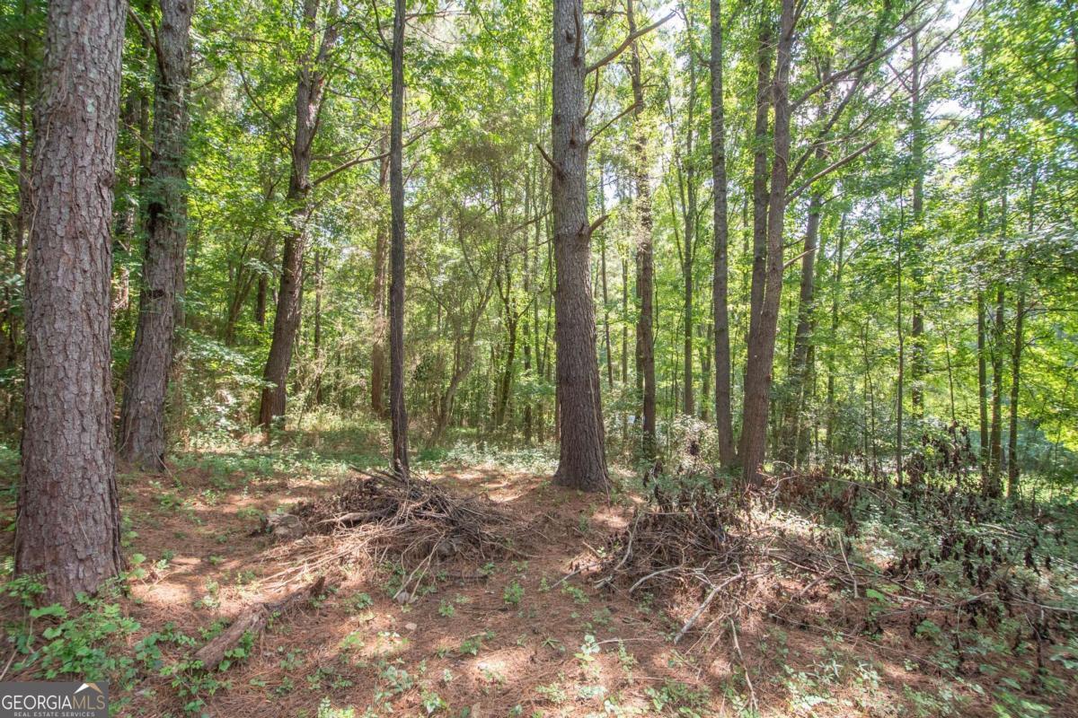 1104 Alverson Road Property Photo 25