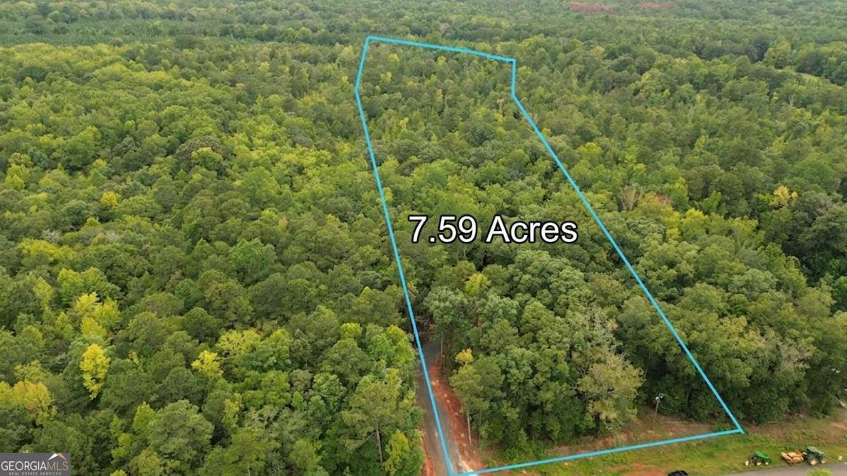 0 Roosevelt Highway Property Photo 4