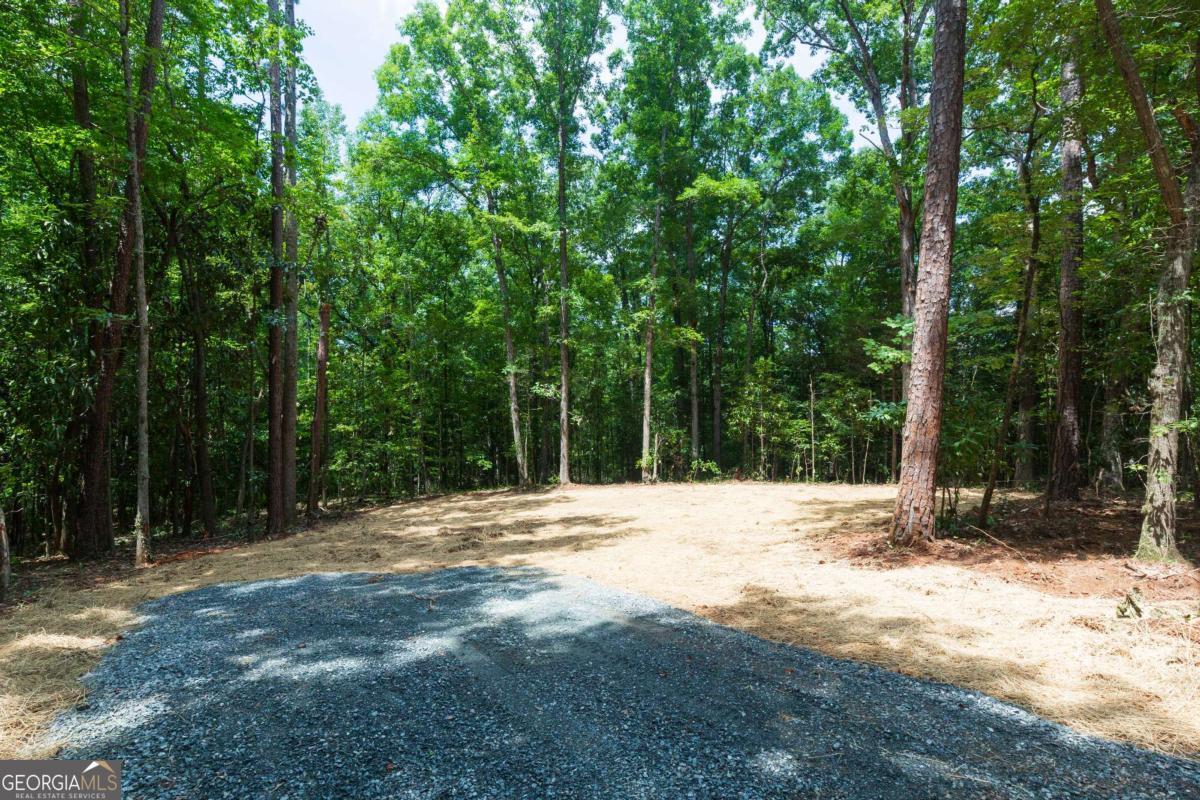 0 Roosevelt Highway Property Photo 7