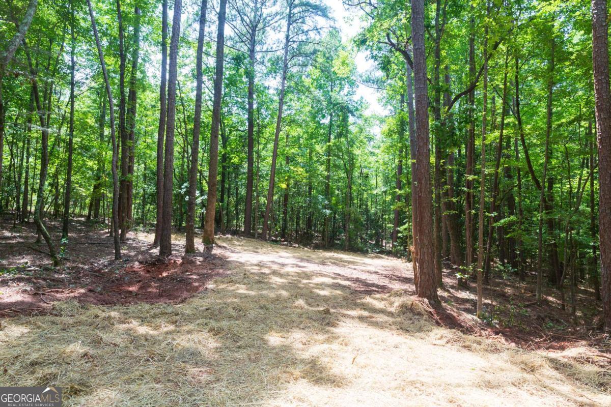 0 Roosevelt Hwy - Lot 1 Property Photo 4