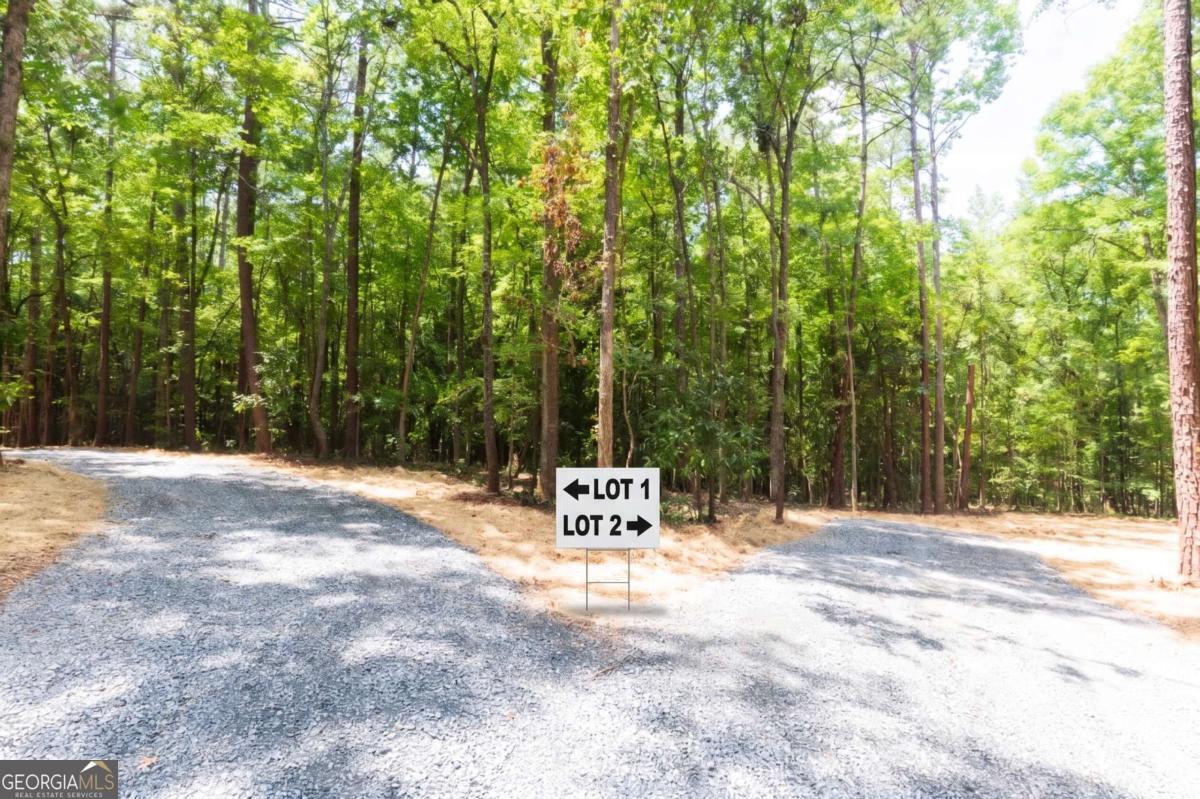 0 Roosevelt Hwy - Lot 1 Property Photo 5