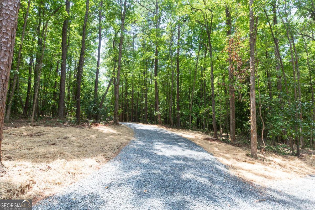 0 Roosevelt Hwy - Lot 1 Property Photo 6
