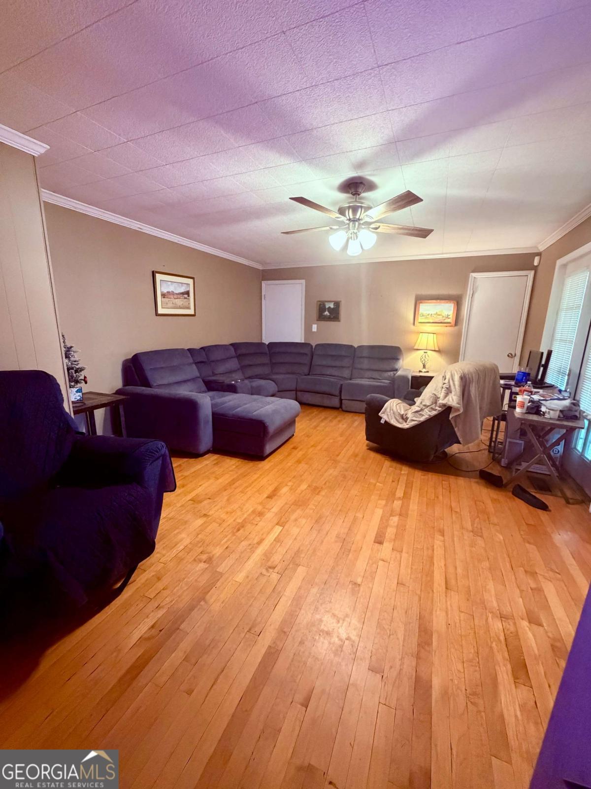 7447 Old Cornelia Highway Property Photo 12
