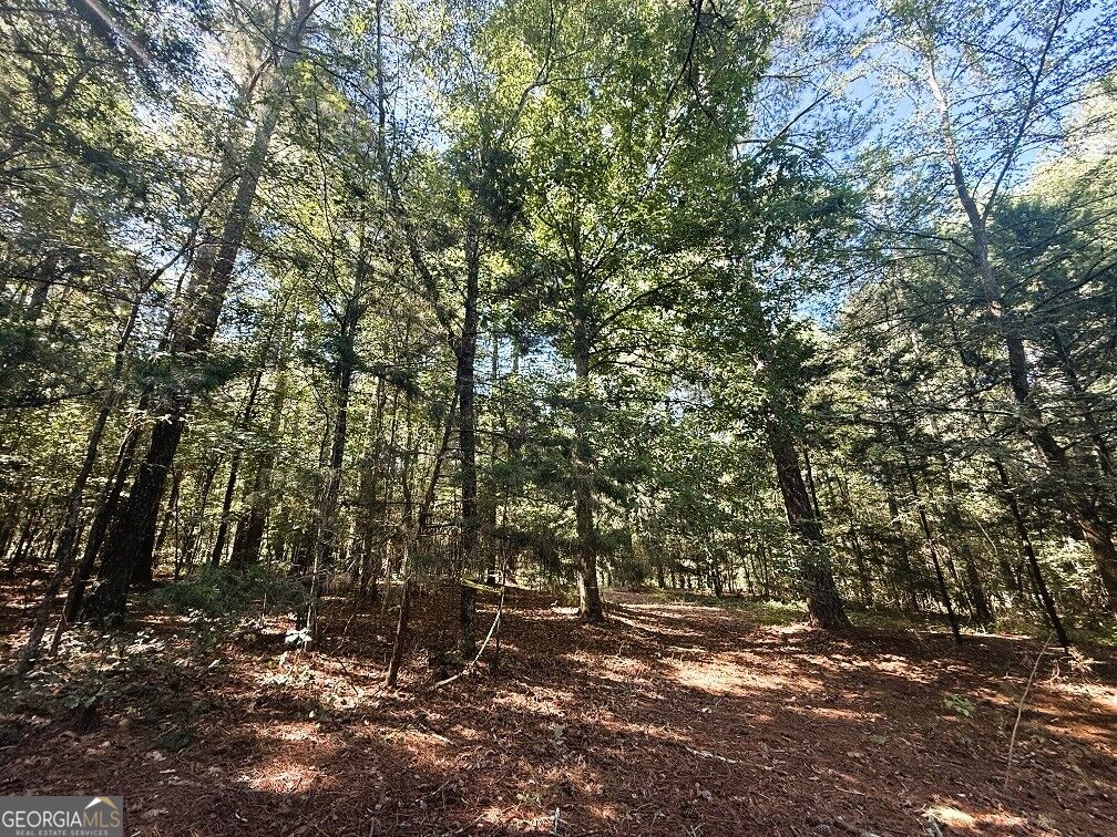 2604 Hughes Road Property Photo 1