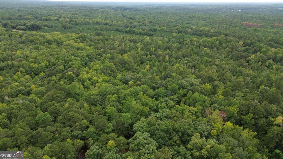 0 Roosevelt HWY - 20.58 Acres Property Photo 1