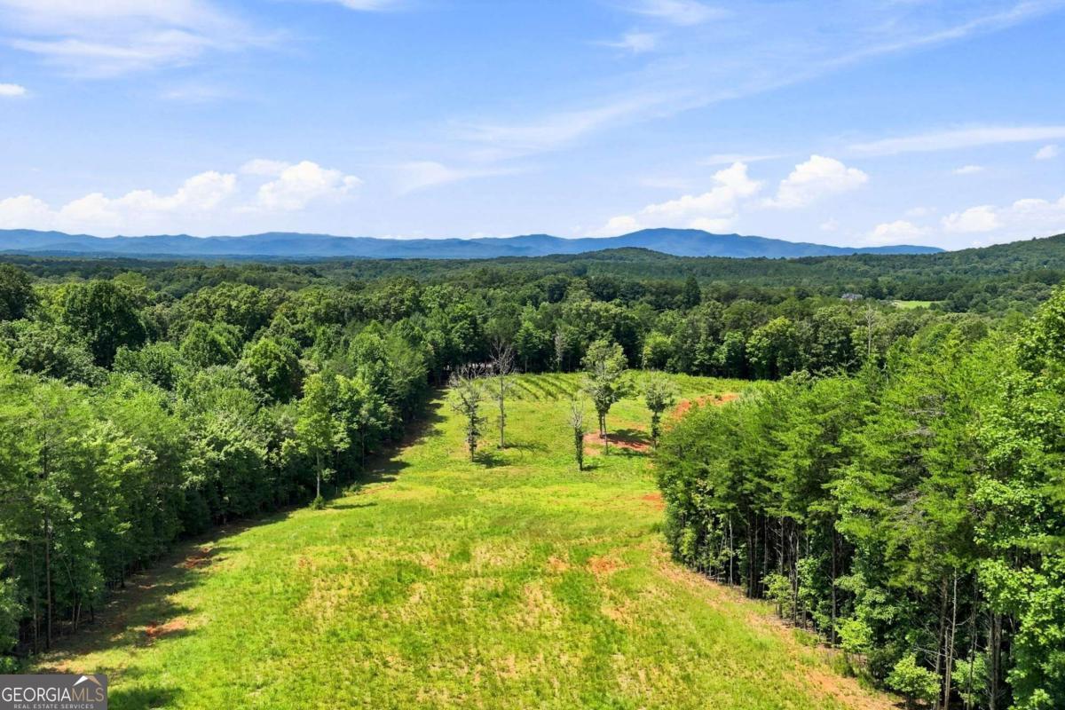 1175 Wolfcreek Road Property Photo 77