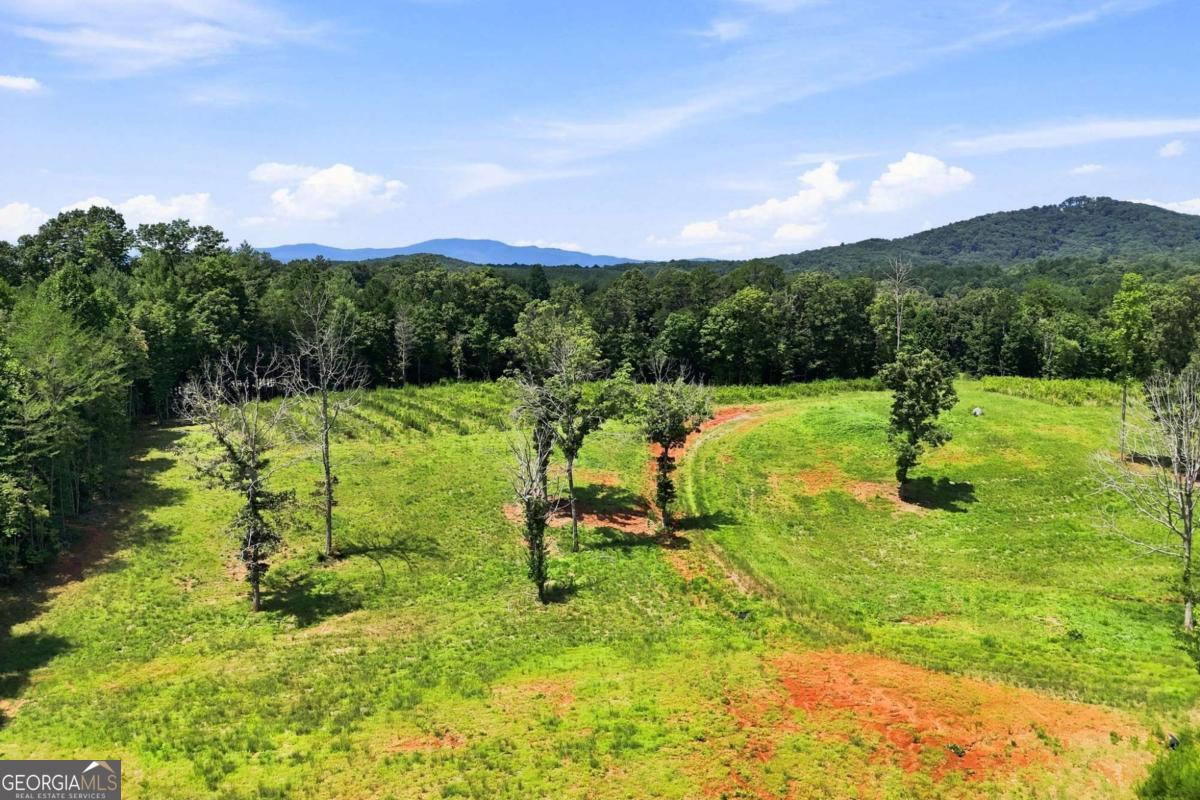 1175 Wolfcreek Road Property Photo 78