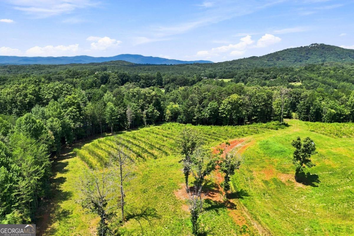 1175 Wolfcreek Road Property Photo 79