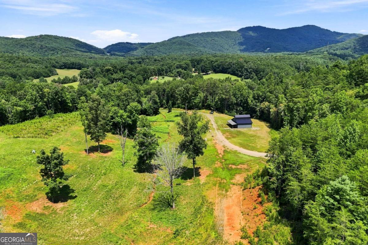 1175 Wolfcreek Road Property Photo 80