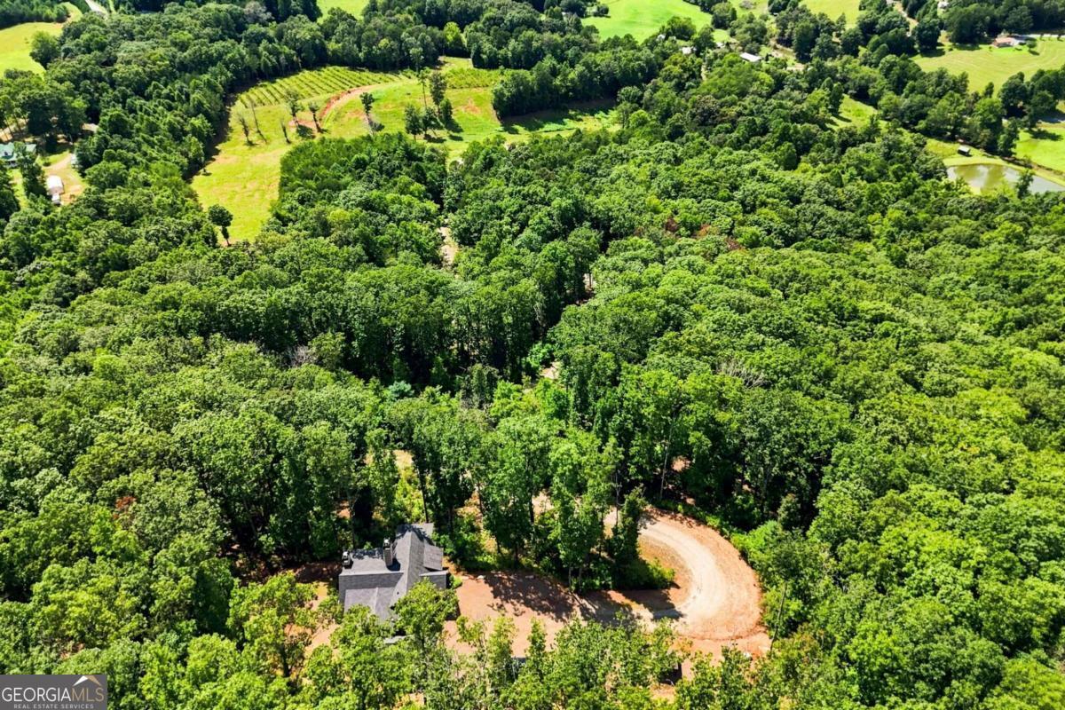 1175 Wolfcreek Road Property Photo 82