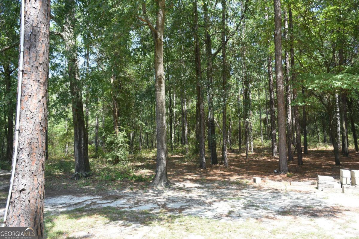 1438 Fannie Head Road Property Photo 9